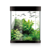 Ica Kit Nano Aqua Led 10