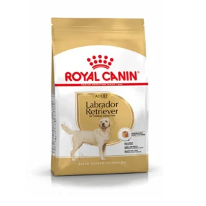 Royal Canin Labrador Adulto pienso para perros