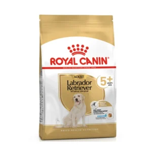 Royal Canin Labrador Adulto +5 pienso para perros