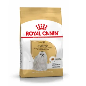 Royal Canin Bichon Maltes Adulto pienso para perros