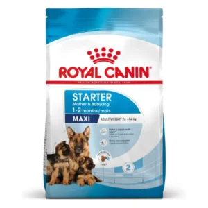 Royal Canin Maxi Starter pienso para perros