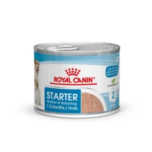Royal Canin Starter Mousse Lata