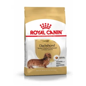 Royal Canin Teckel Adulto pienso para perros