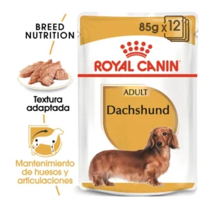 Royal Canin Teckel Adulto Sobres