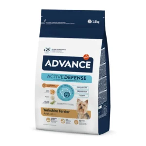 Advance Yorkshire Terrier