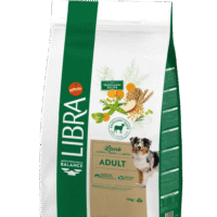 Libra Adult Cordero