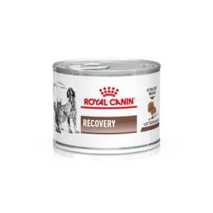Royal Canin Recovery Lata (Mousse Ultra Suave)