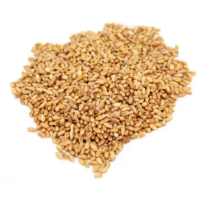 Trigo Natural Limpio Para Pajaros