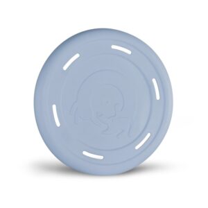Nayeco Frisbee