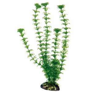 Amtra Planta Artificial Cabomba