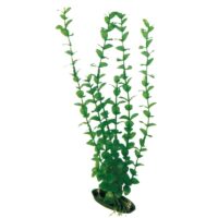 Amtra Planta Artificial Rotala