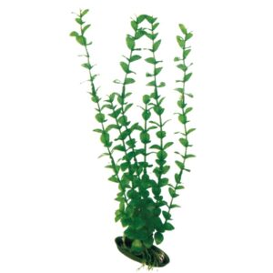 Amtra Planta Artificial Rotala