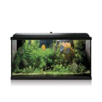 Ica Kit Aqua Led Pro 100