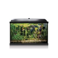 Ica Kit Aqua Led Pro 68