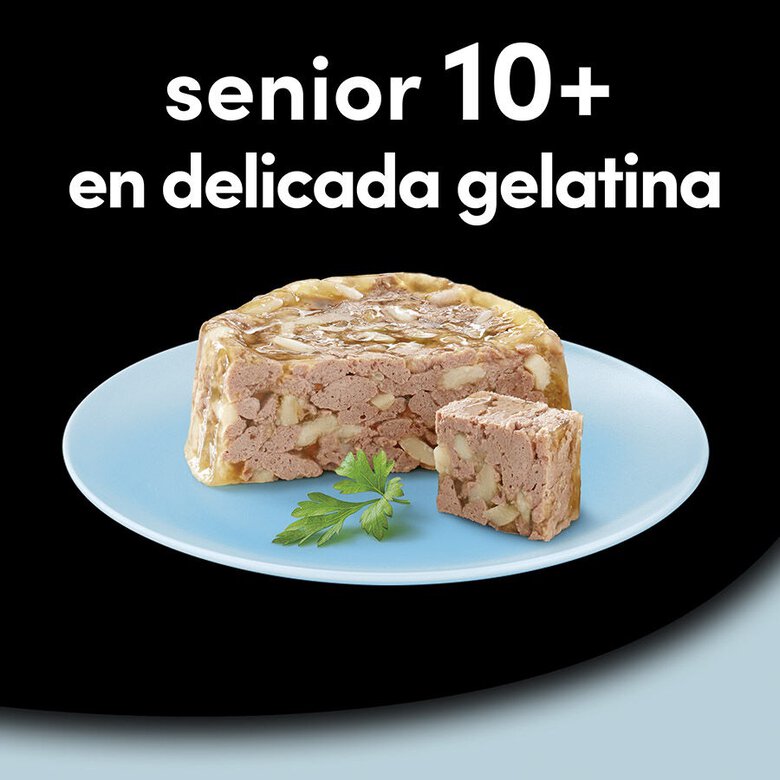 Cesar Senior Carnes Mixtas Tarrina en Gelatina - Imagen 3