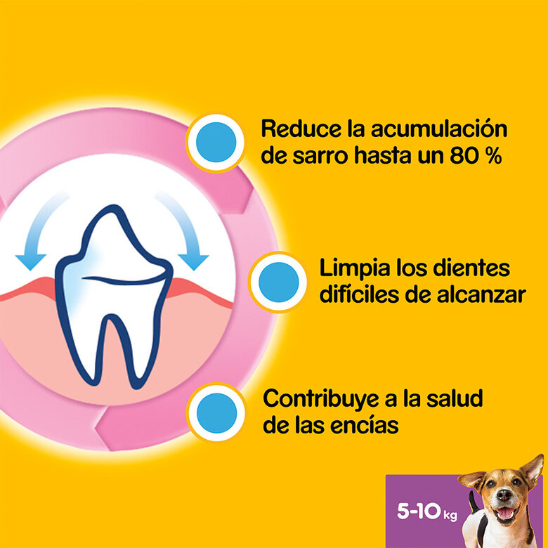 Pedigree Dentastix 5-10Kg Perros Mini - Imagen 4