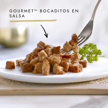 Gourmet Gold Bocaditos en Salsa con Salmon y Pollo - Imagen 2