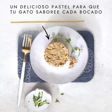 Gourmet Gold Tartelette con Pollo y Zanahorias - Imagen 2