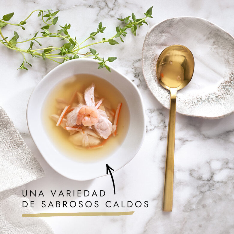 Gourmet Nature`s Creations Soup con Pollo - Imagen 2