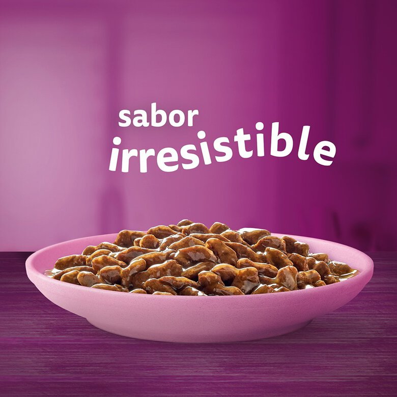 Whiskas Junior Selección Clásicos en Salsa - Imagen 2