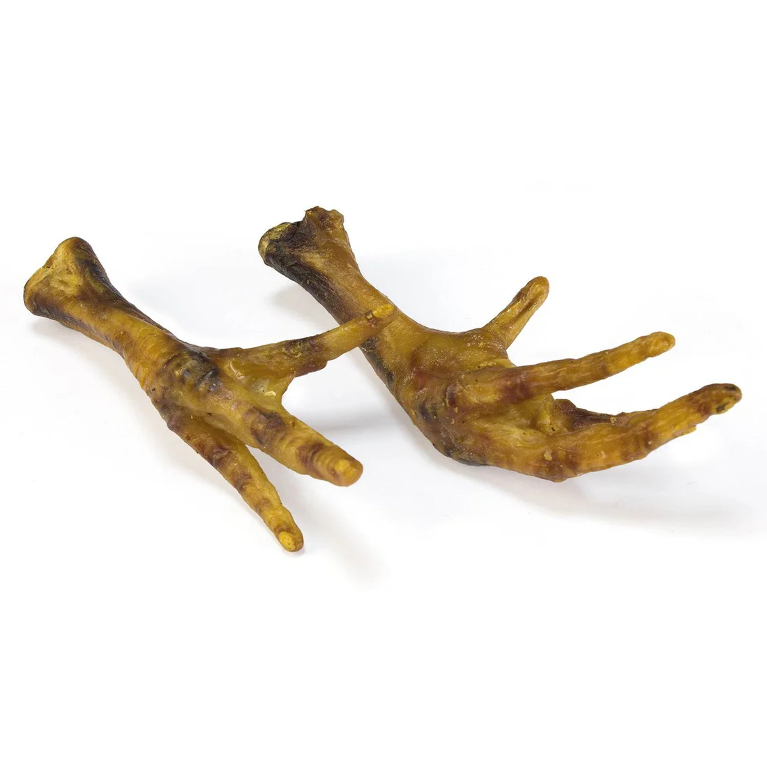 Arquivet Patas de Pollo - Imagen 2