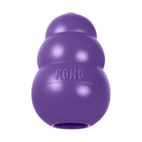 Kong Senior