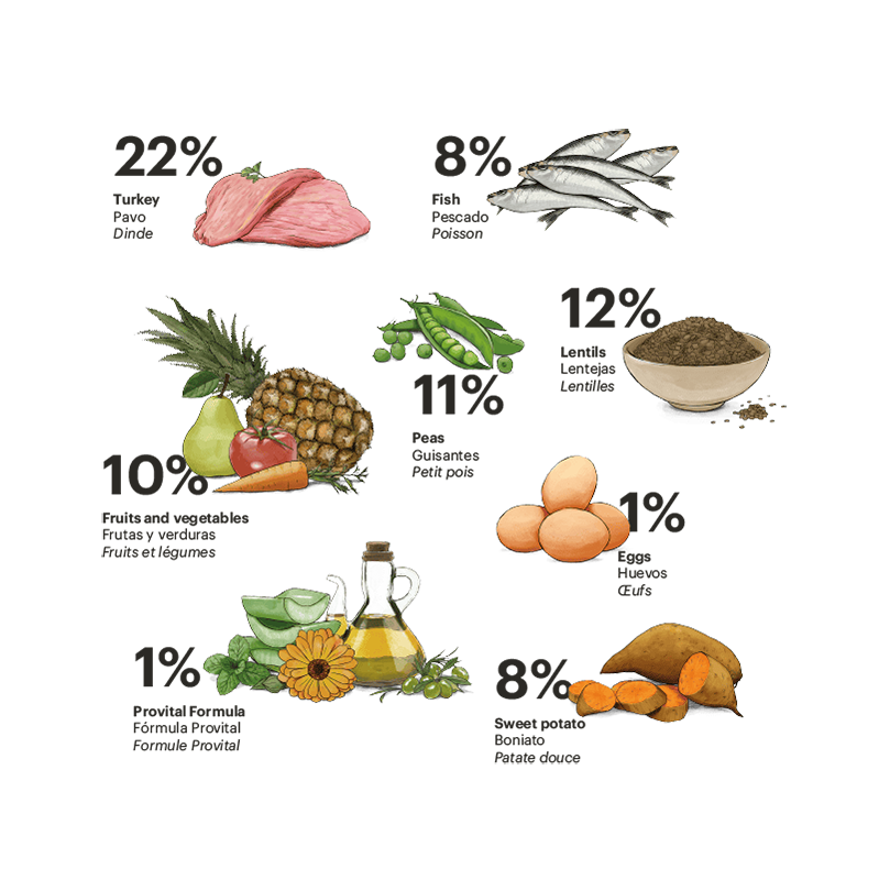 Gosbi Exclusive Grain Free Senior Medium - Imagen 2