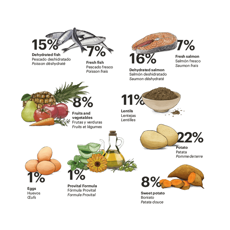 Gosbi Exclusive Grain Free Junior Fish - Imagen 2