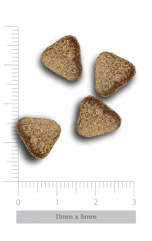Amanova Adult Mini - Exigent Iberian Pork Grain Free - Imagen 3