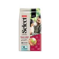 Select Adult Medium Pollo