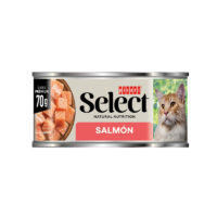 Select Picart Gato Salmon