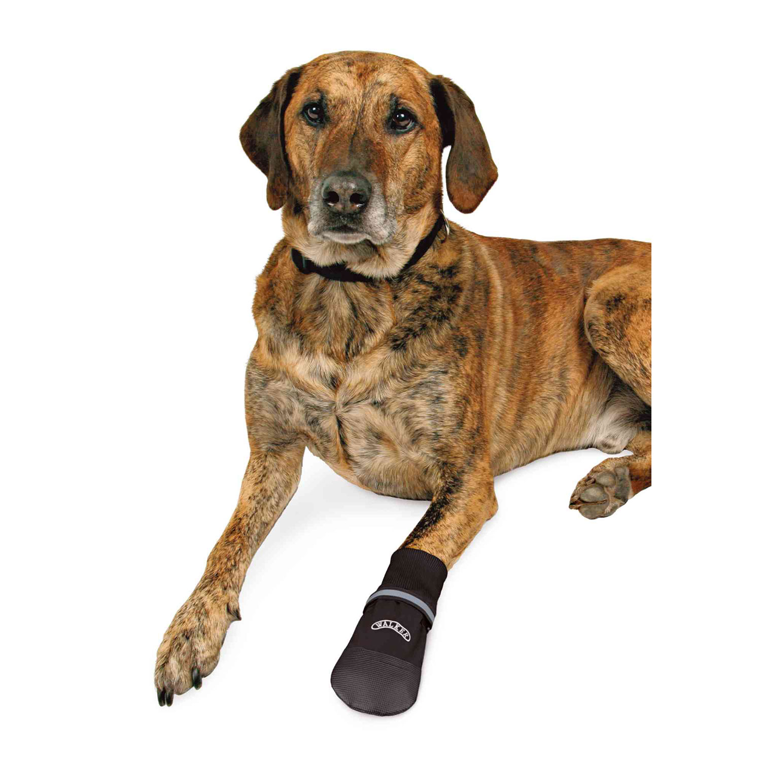 Trixie Botas Protectoras Walker Care Comfort - Imagen 2