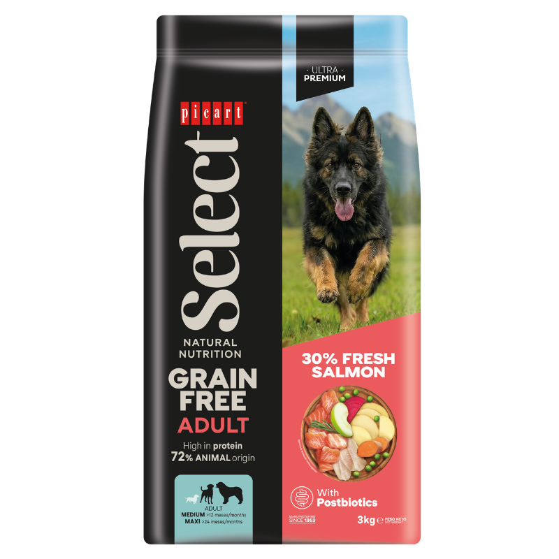 Select Adult Grain Free Salmon