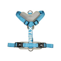 X-TRM Neón Azul Arnes