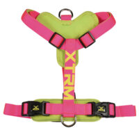 X-TRM Neón Fucsia Arnes