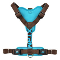 X-TRM Neón Marrón Arnes