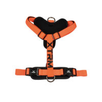 X-TRM Neón Naranja Arnes