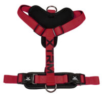 X-TRM Neón Rojo y Negro Arnes